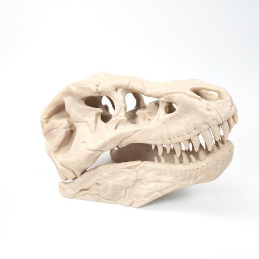 3D Printed T-Rex Skull Realistic Replica Dinosaur Fossil Home Office Decor 6 inch