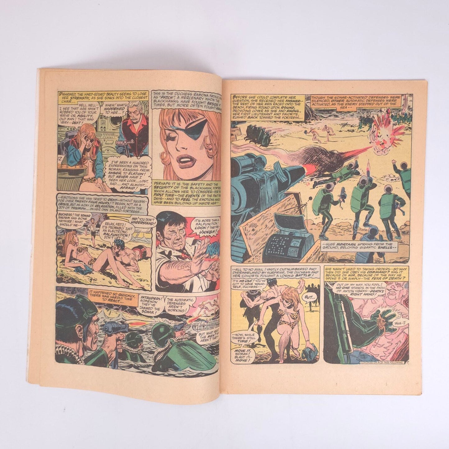 The New Blackhawk #244 DC Comics Comic Book