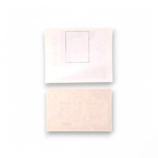 Betty Boop Amazon Betty Pudgy Bimbo Sail Boat Fish Stamp Sheet MNH with COA ICS