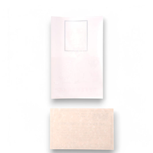 Betty Boop and Pudgy Beach Comber Bikini Stamp Sheet MNH with COA - ICS