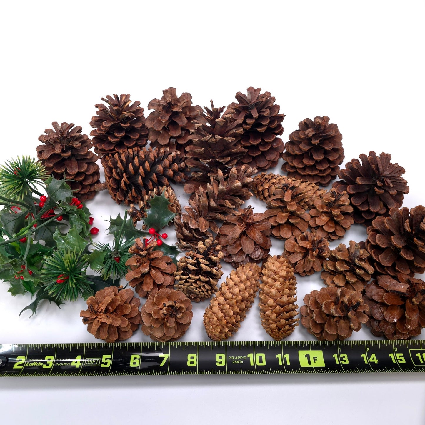 1 lb Pine Cone Seasonal Holiday Decor Craft Lot Christmas Thanksgiving Winter