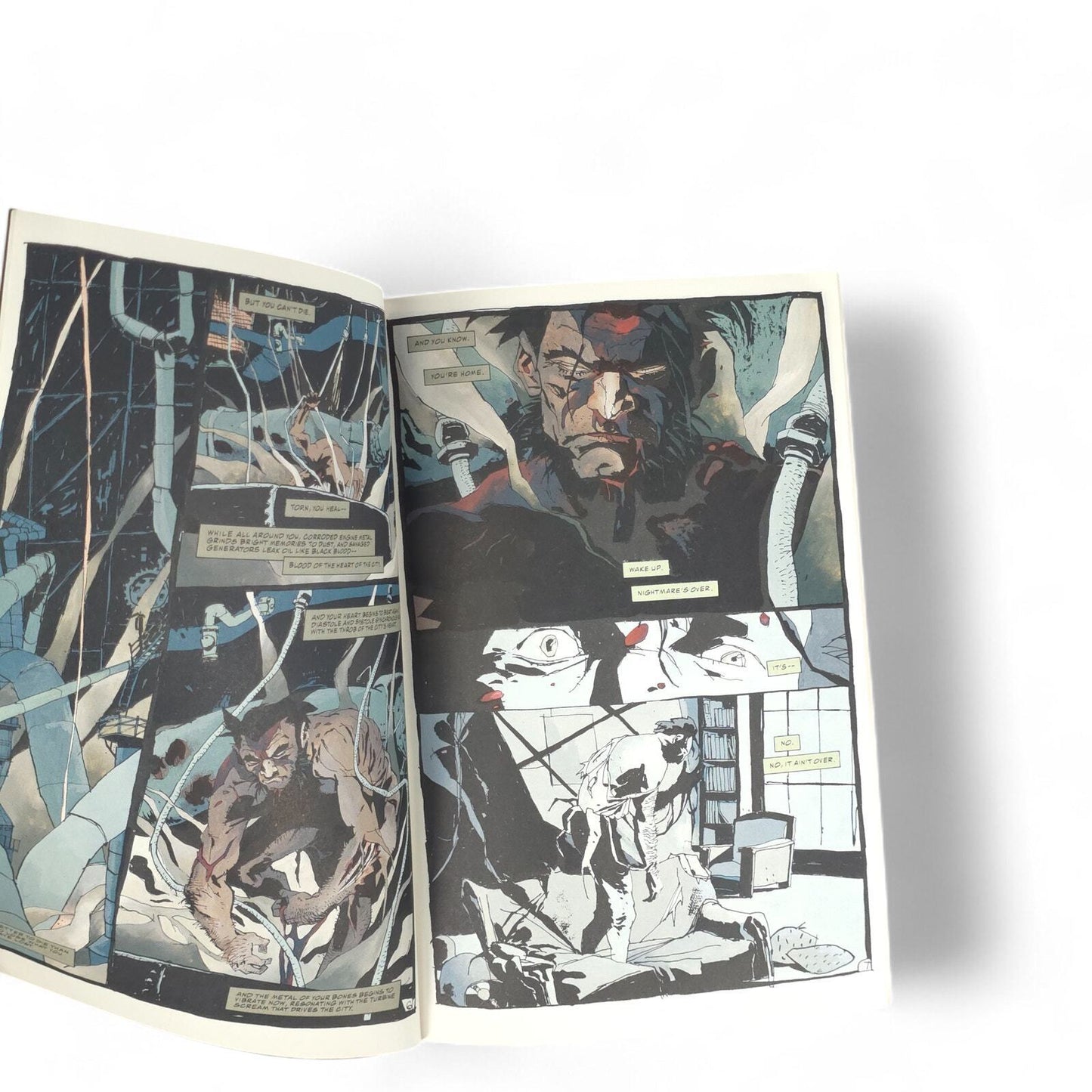 Wolverine Killing Marvel Coimcs Comic Book