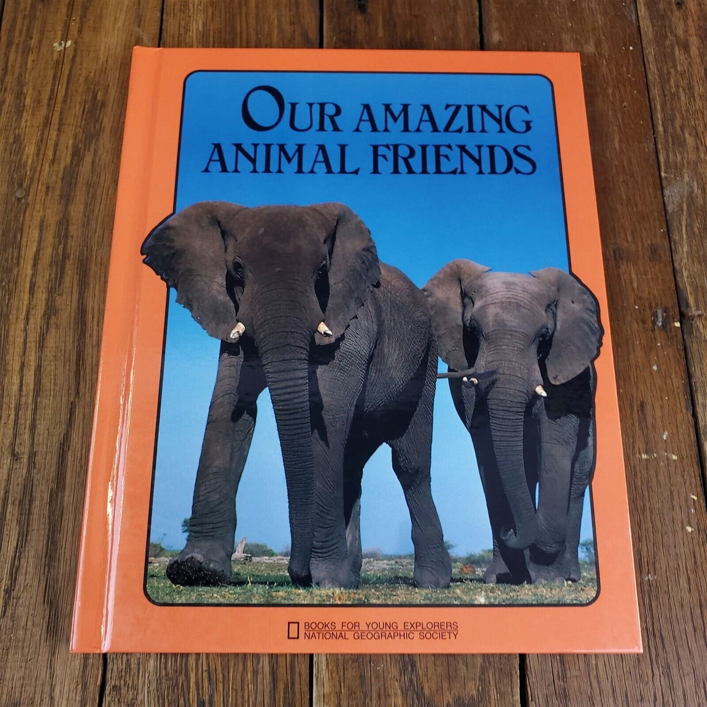 Lot of 11 National Geographic Society Hardcover 11" x 9"