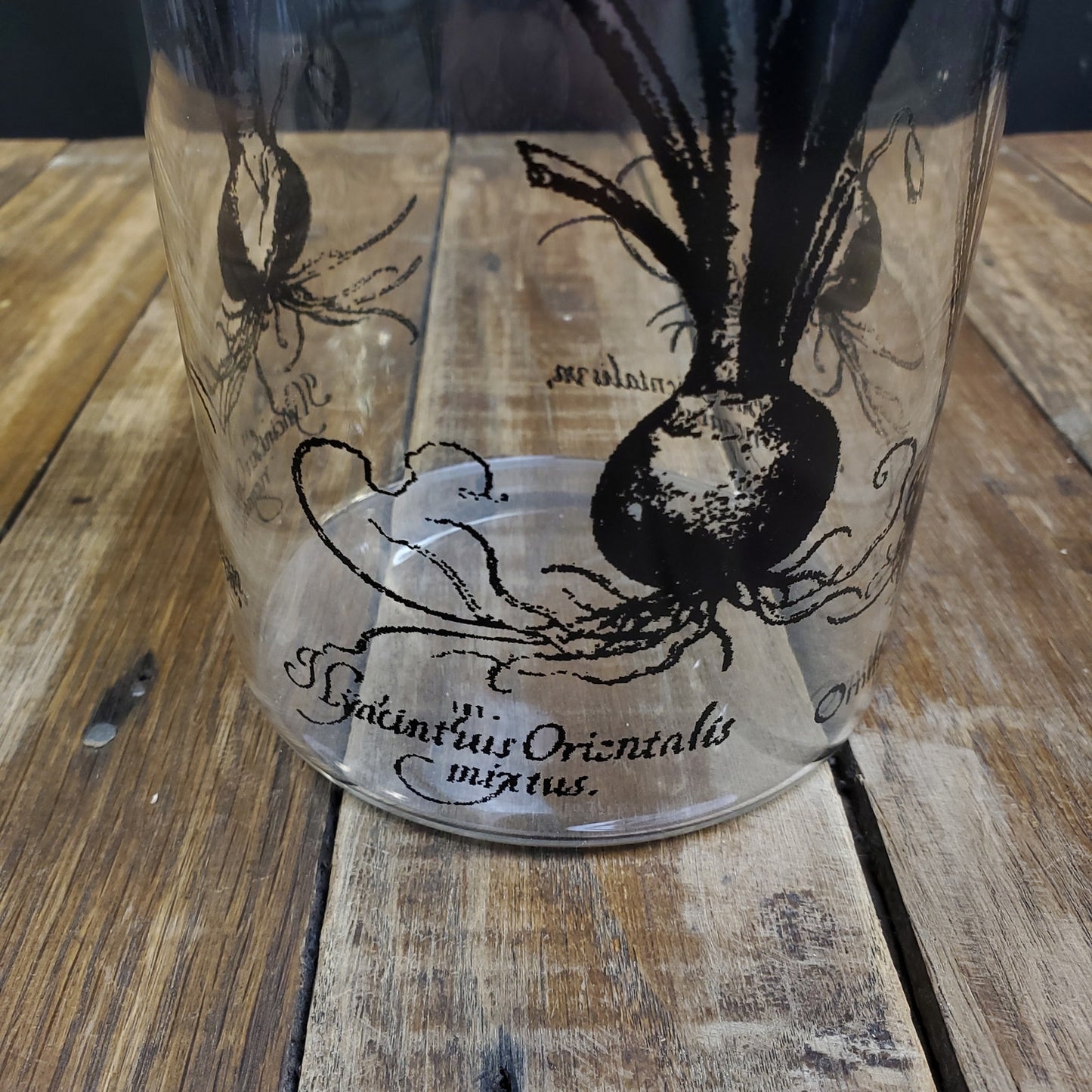 Clear Glass Vase with Hyacinth Flower Overlay - Elegant Home Decor