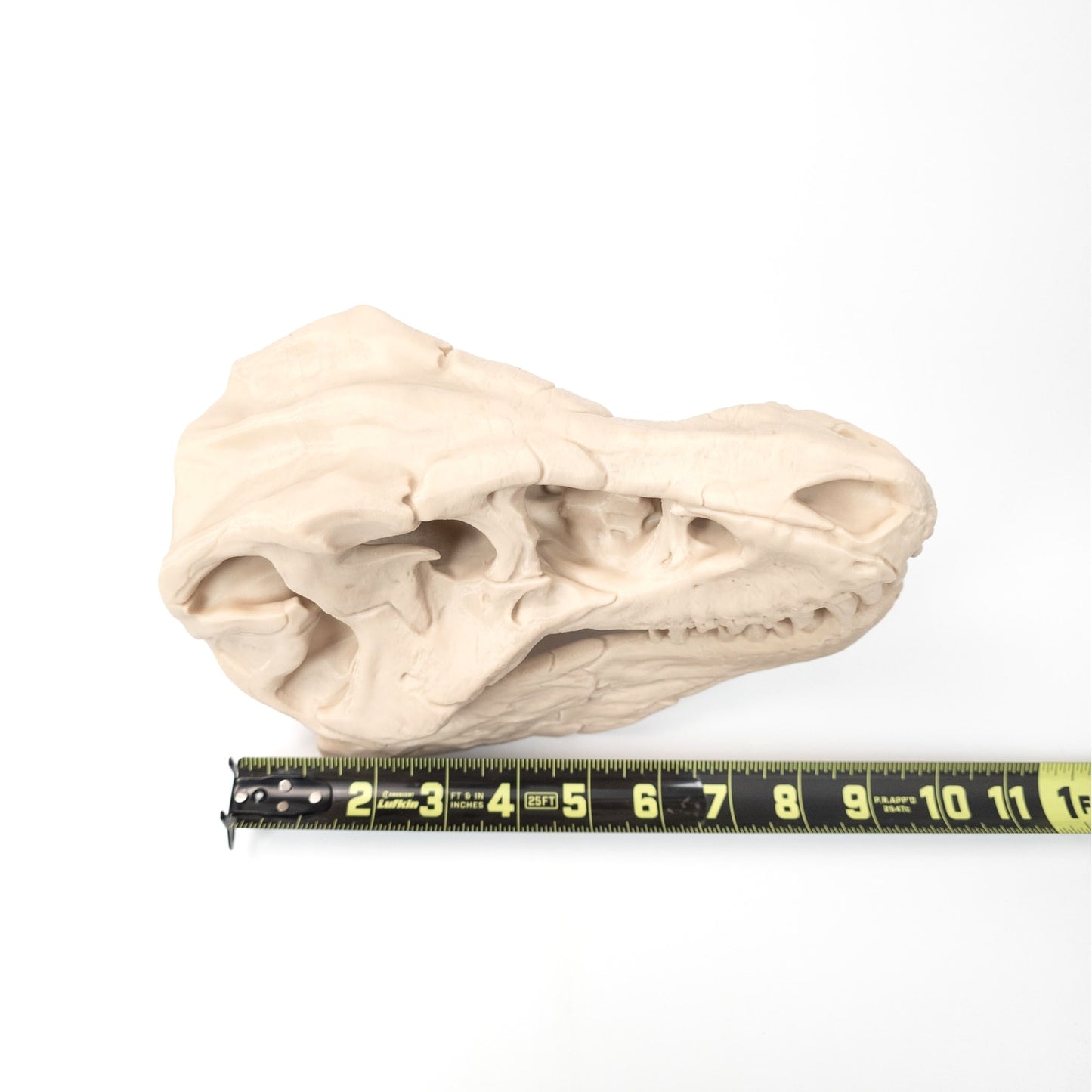 3D Printed T-Rex Skull Realistic Replica Dinosaur Fossil Home Office Decor 6 inch