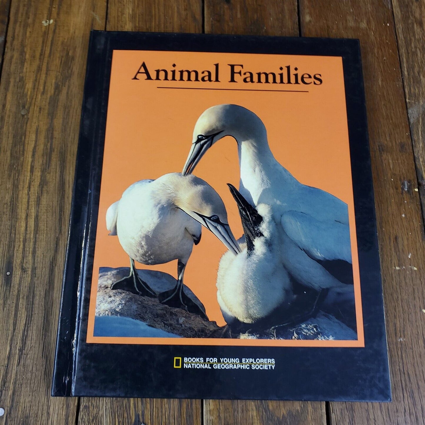 Lot of 11 National Geographic Society Hardcover 11" x 9"