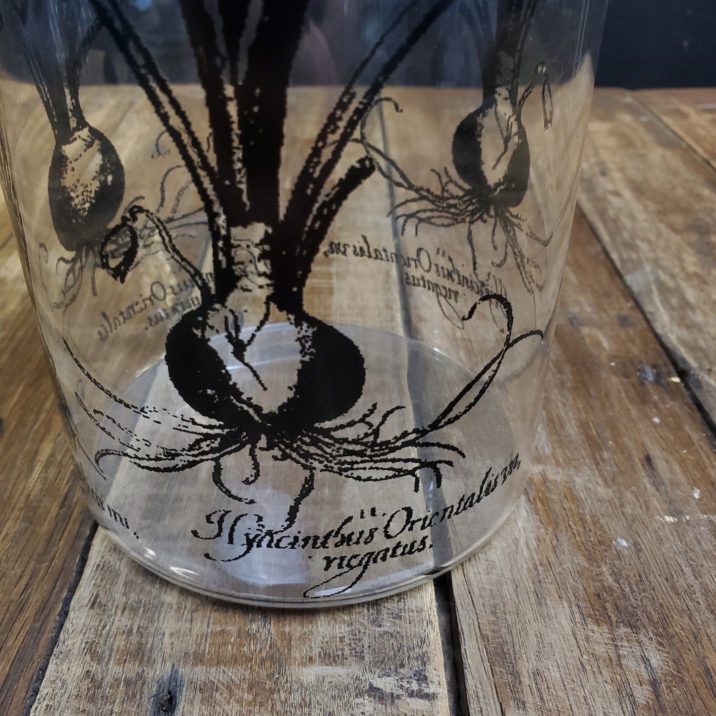 Clear Glass Vase with Hyacinth Flower Overlay - Elegant Home Decor