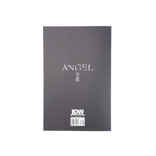 Angel #21 IDW Comics Comic Book