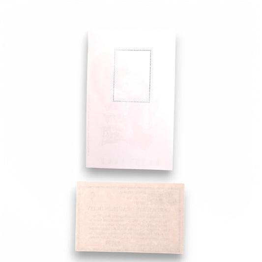 Betty Boop A Night On The Town Bimbo Stamp Sheet MNH with COA - ICS