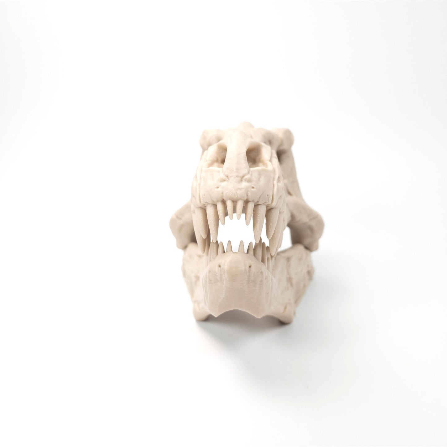 3D Printed T-Rex Skull Realistic Replica Dinosaur Fossil Home Office Decor 6 inch