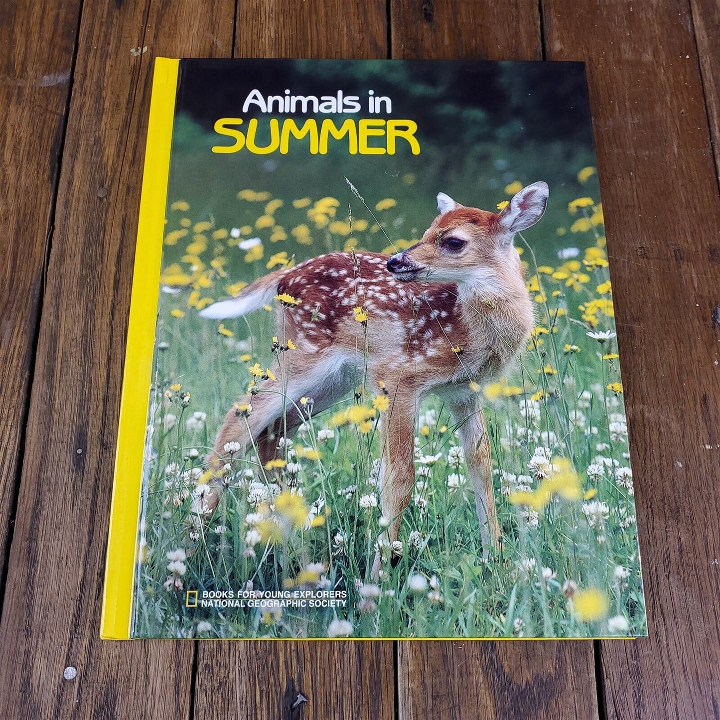 Lot of 11 National Geographic Society Hardcover 11" x 9"