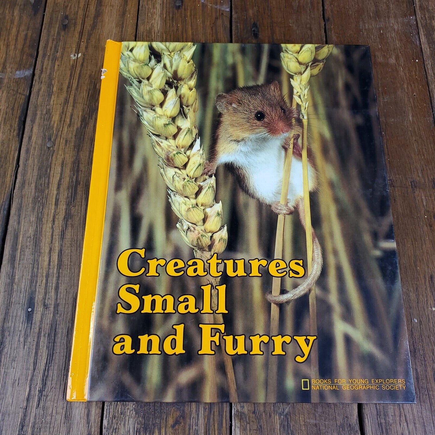 Lot of 11 National Geographic Society Hardcover 11" x 9"