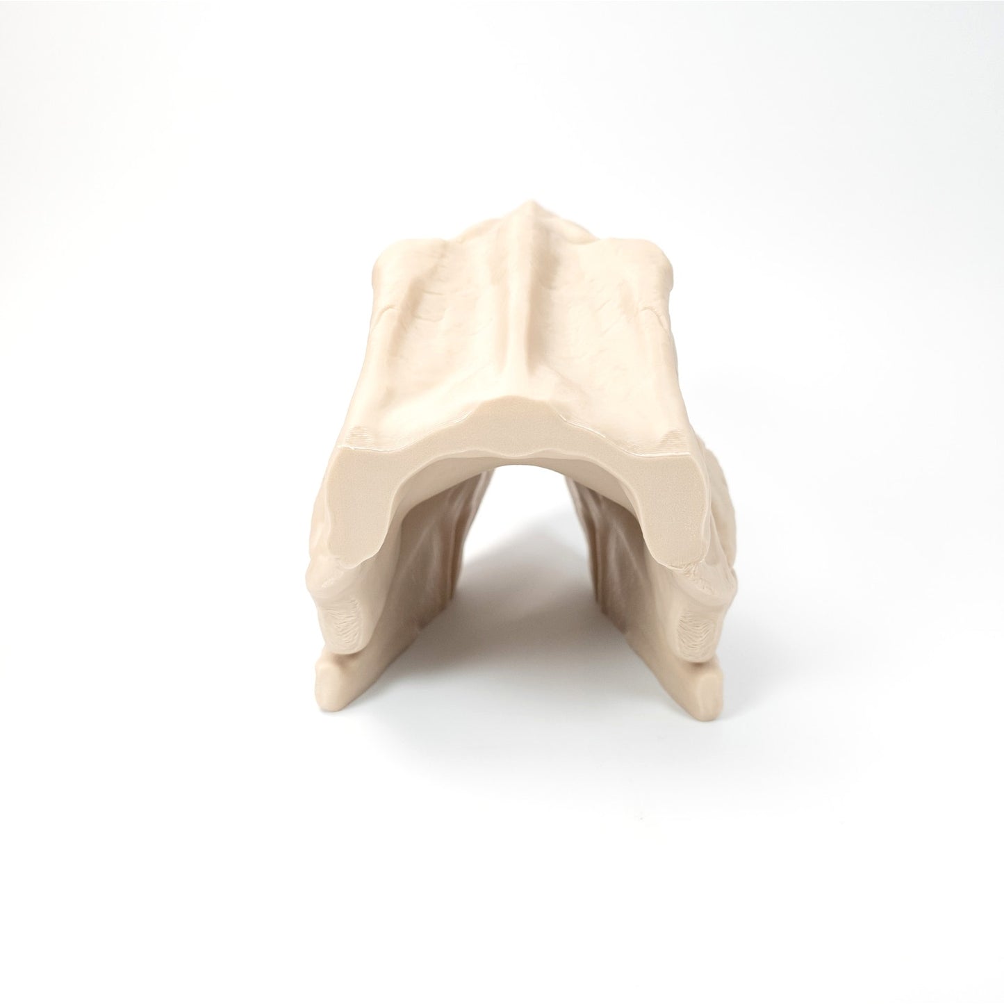 3D Printed T-Rex Skull Realistic Replica Dinosaur Fossil Home Office Decor 6 inch