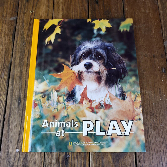 Lot of 11 National Geographic Society Hardcover 11" x 9"