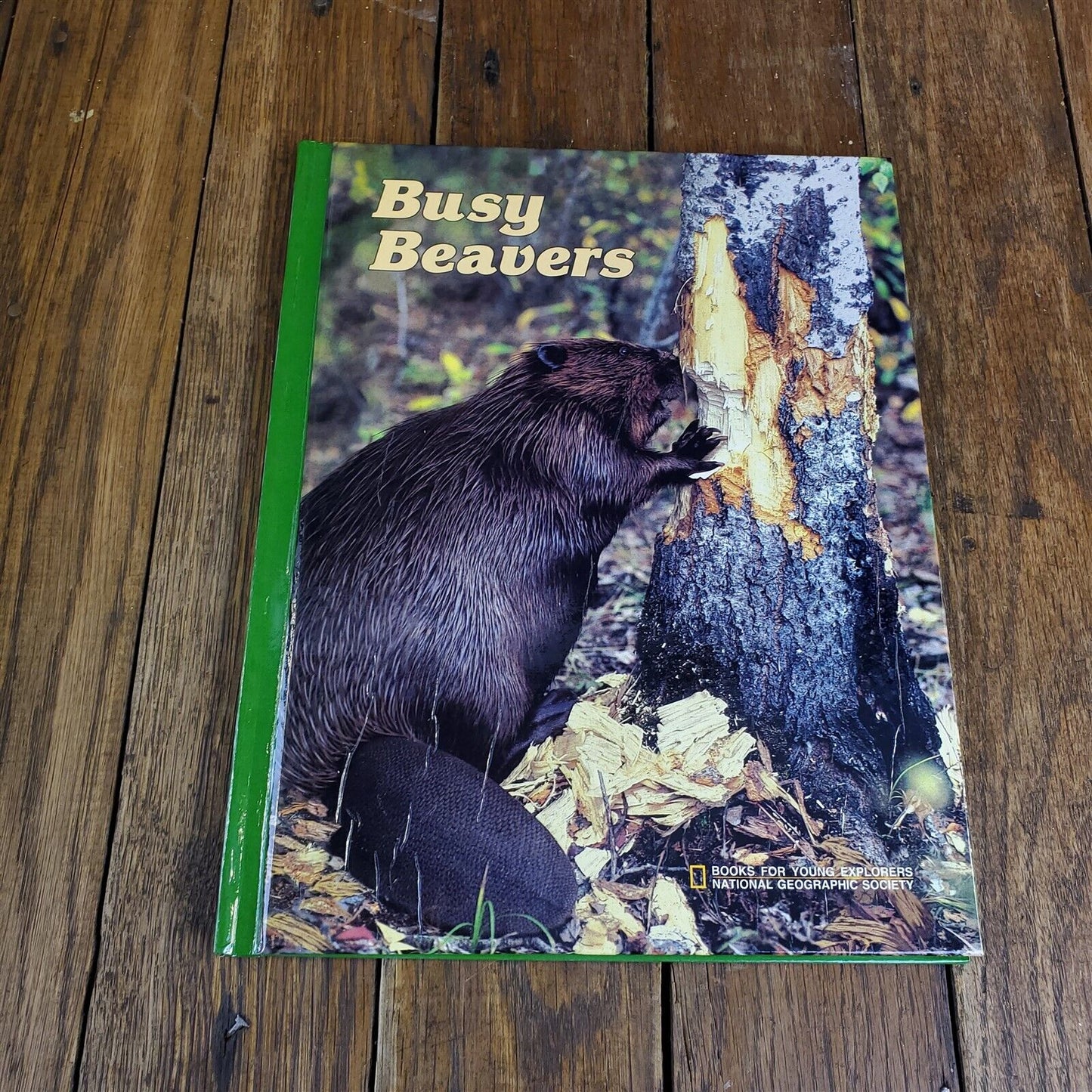 Lot of 11 National Geographic Society Hardcover 11" x 9"