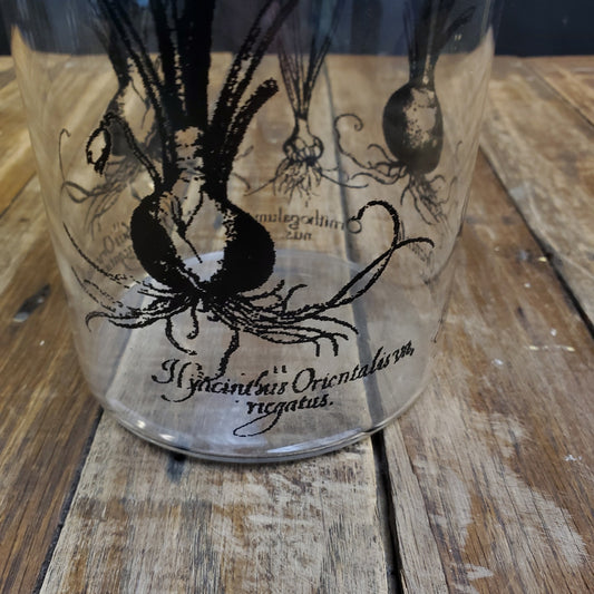 Clear Glass Vase with Hyacinth Flower Overlay - Elegant Home Decor