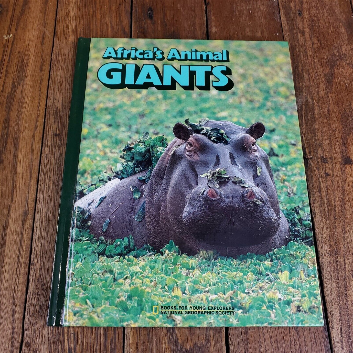 Lot of 11 National Geographic Society Hardcover 11" x 9"