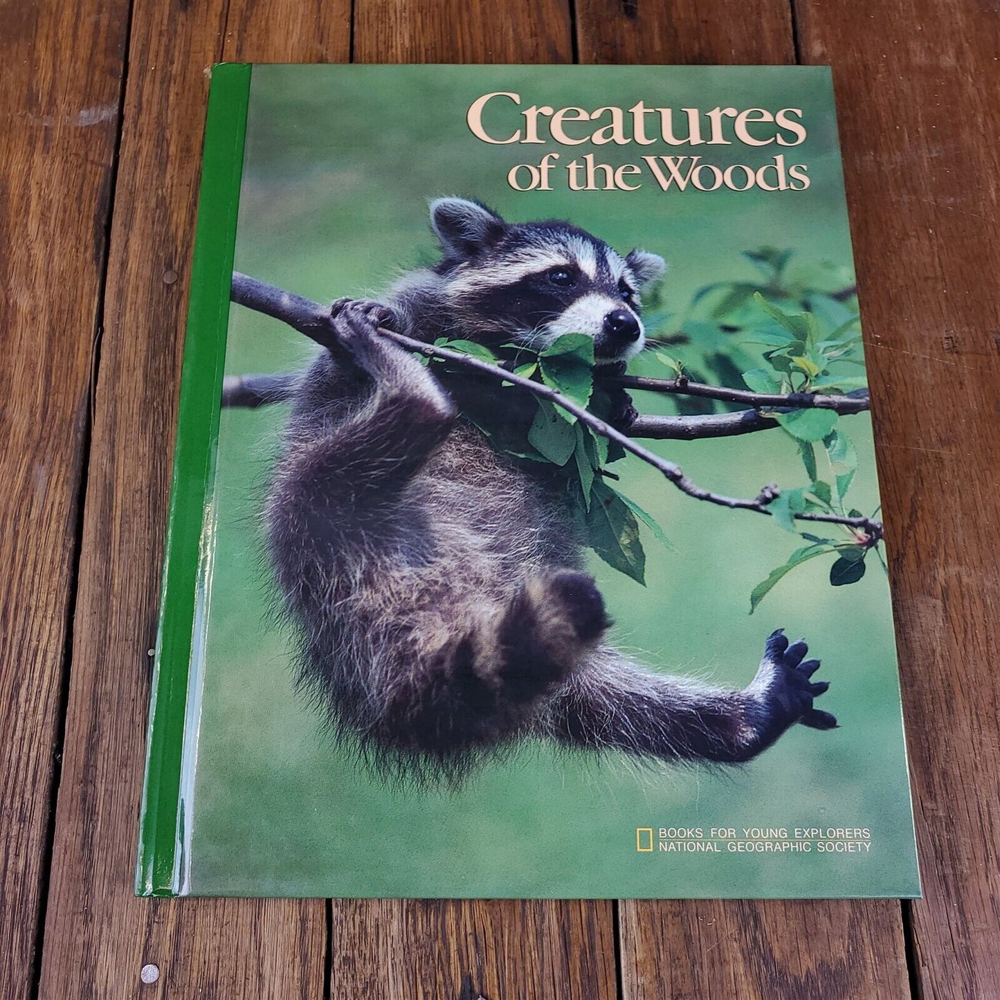 Lot of 11 National Geographic Society Hardcover 11" x 9"