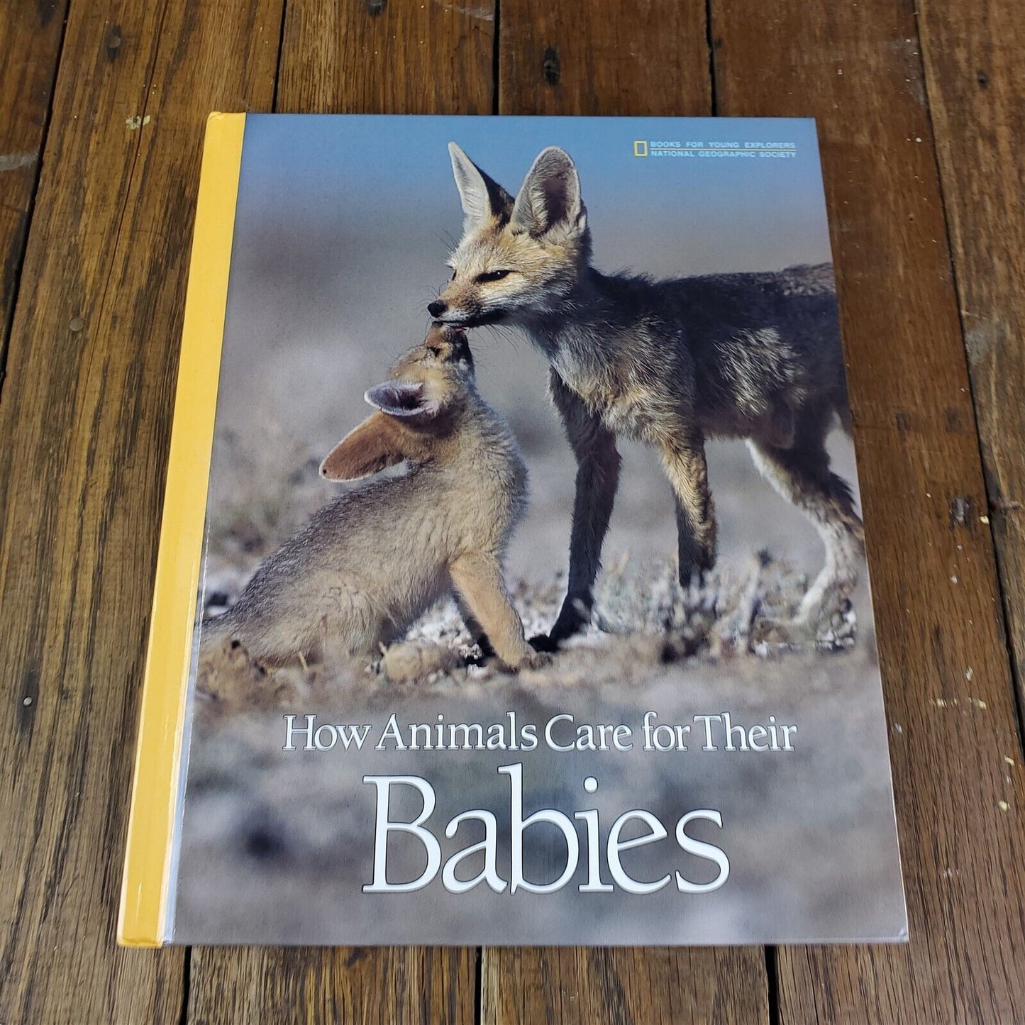 Lot of 11 National Geographic Society Hardcover 11" x 9"