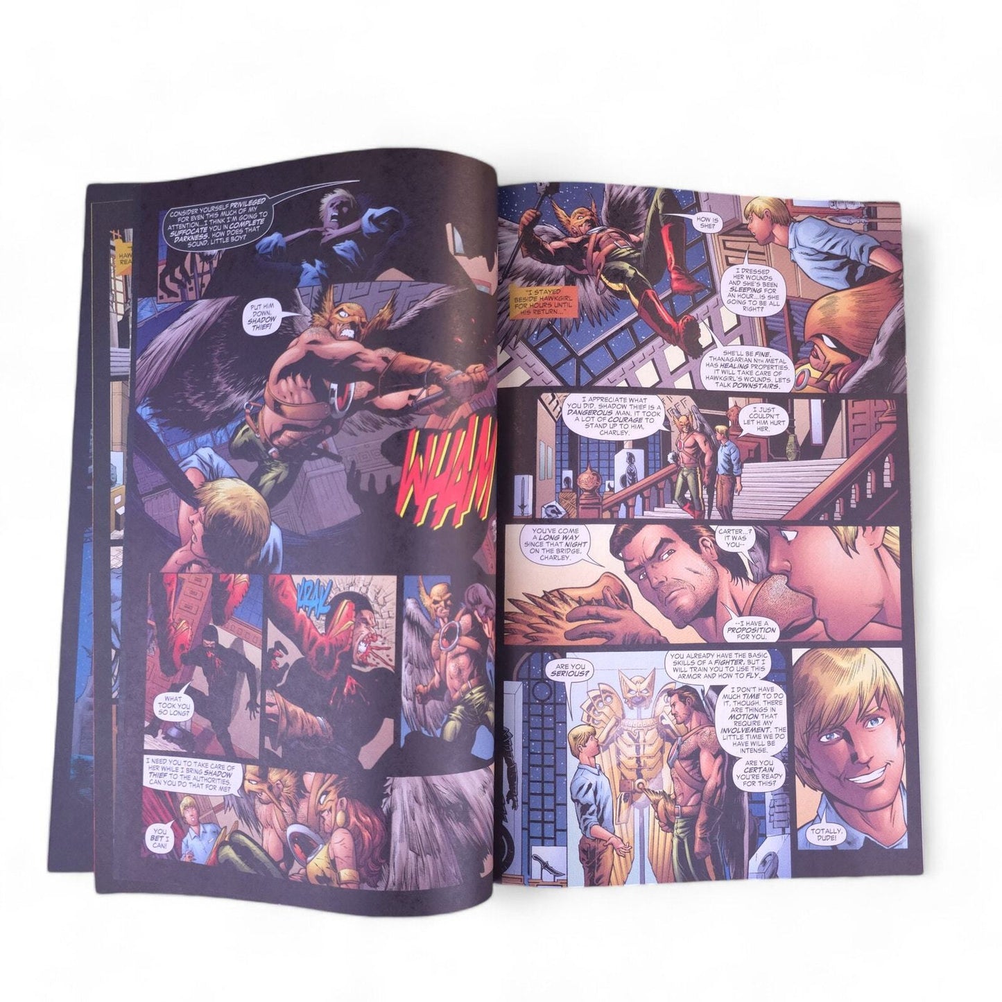 Hawkman Volume #4 Rise of the Golden Eagle TPB (DC Comics, July 2006)