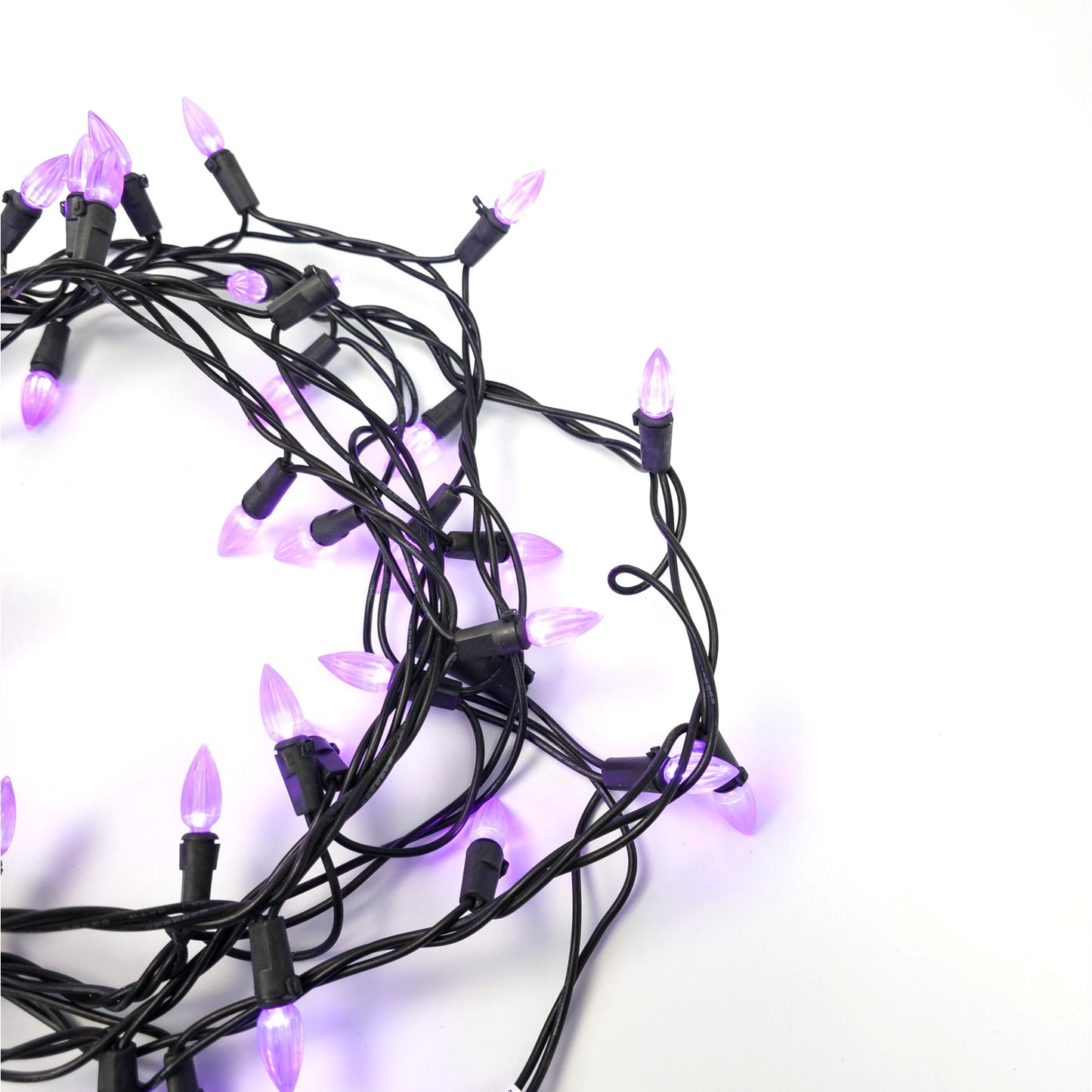 13ft Purple Decorative String Lights