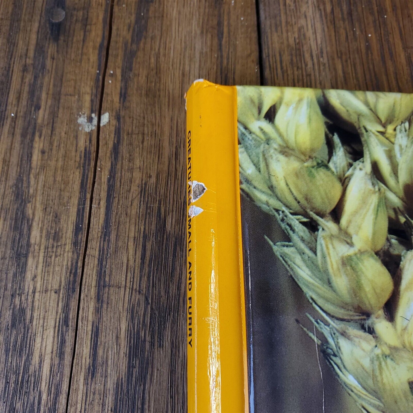 Lot of 11 National Geographic Society Hardcover 11" x 9"