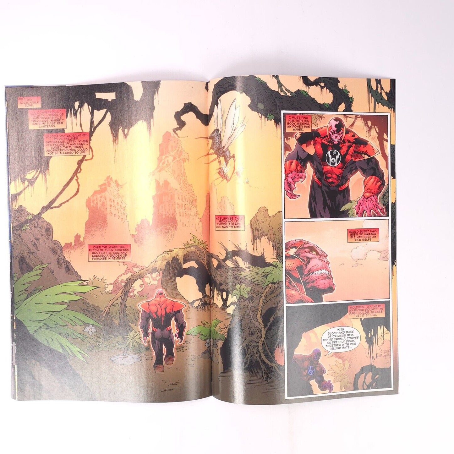 Red Lanterns #7 DC Comics Comic Book
