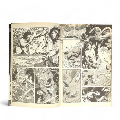 Tarzan #143 Dark Horse Comics Comic Book