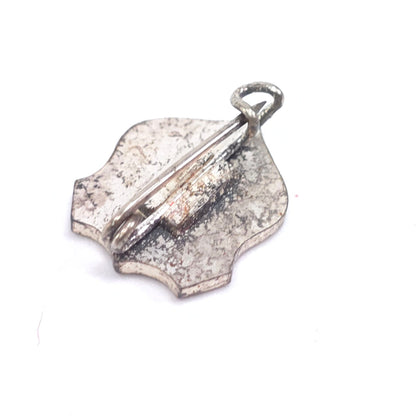 Vintage Schweiz Pinback Pin