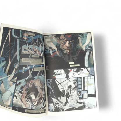 Wolverine Killing Marvel Coimcs Comic Book