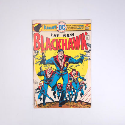 The New Blackhawk #244 DC Comics Comic Book
