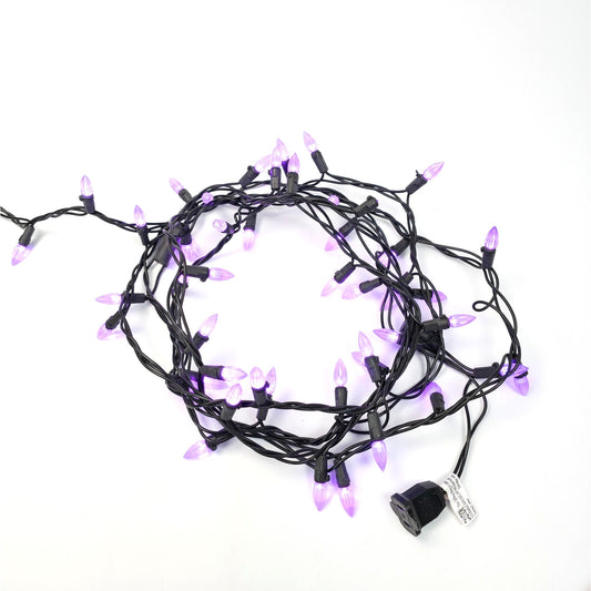13ft Purple Decorative String Lights