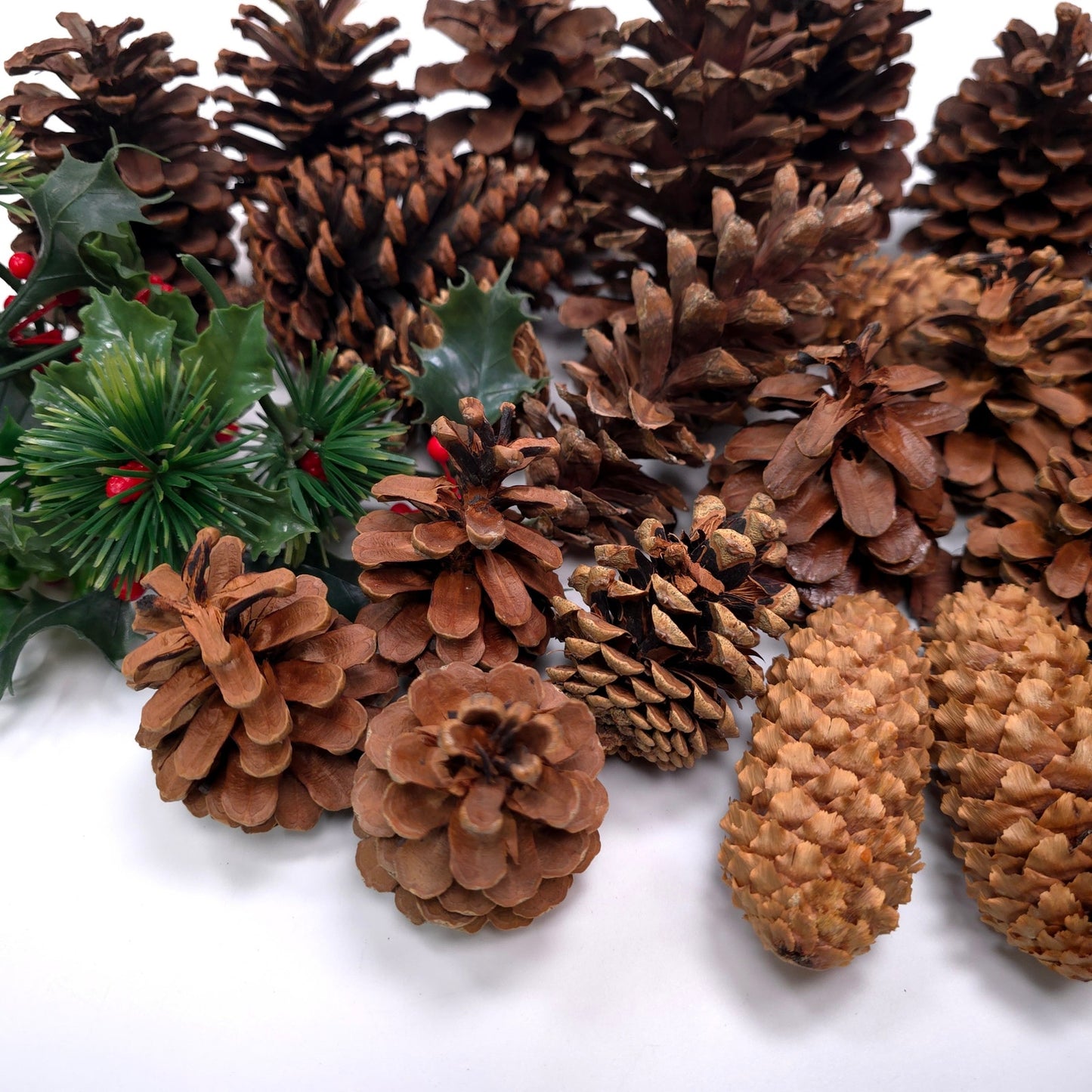 1 lb Pine Cone Seasonal Holiday Decor Craft Lot Christmas Thanksgiving Winter