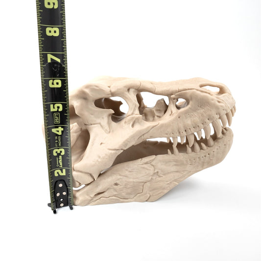 3D Printed T-Rex Skull Realistic Replica Dinosaur Fossil Home Office Decor 6 inch