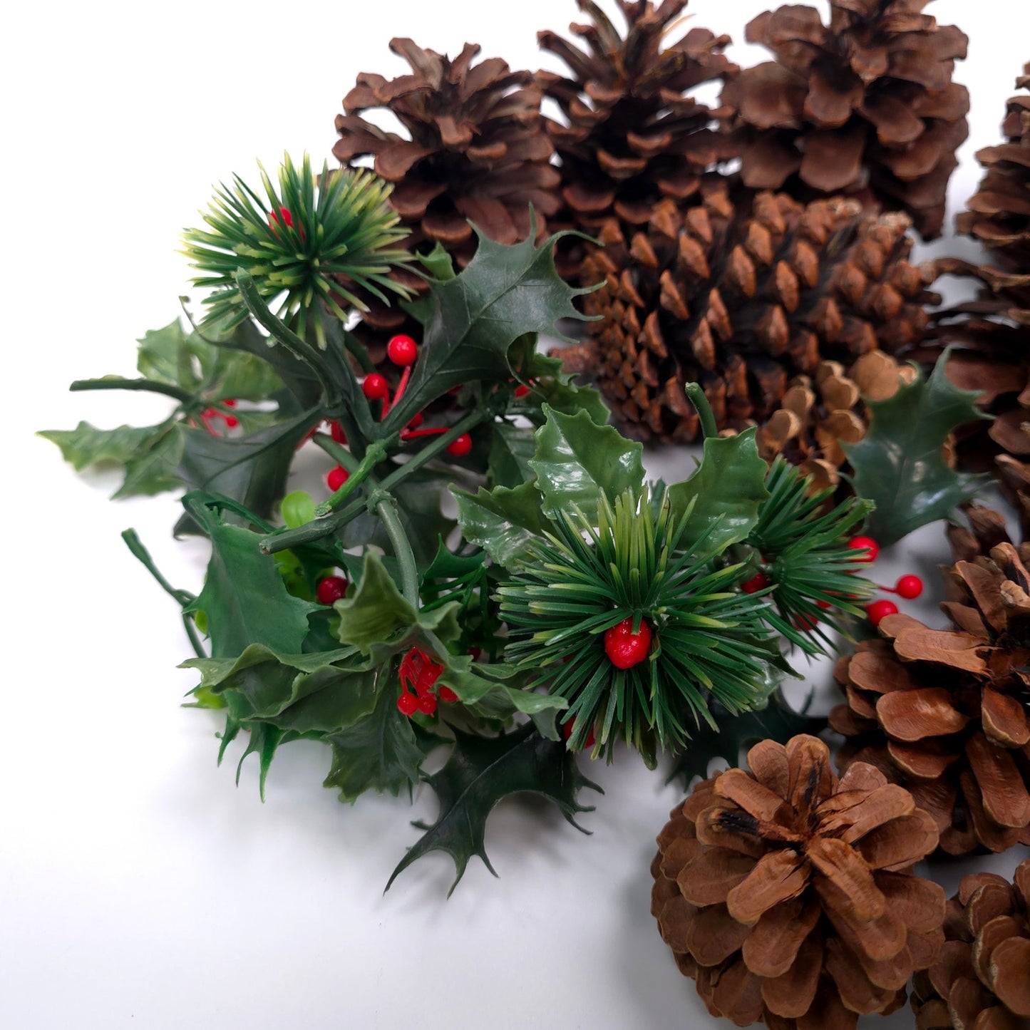 1 lb Pine Cone Seasonal Holiday Decor Craft Lot Christmas Thanksgiving Winter