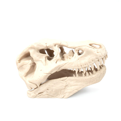 3D Printed T-Rex Skull Realistic Replica Dinosaur Fossil Home Office Decor 6 inch