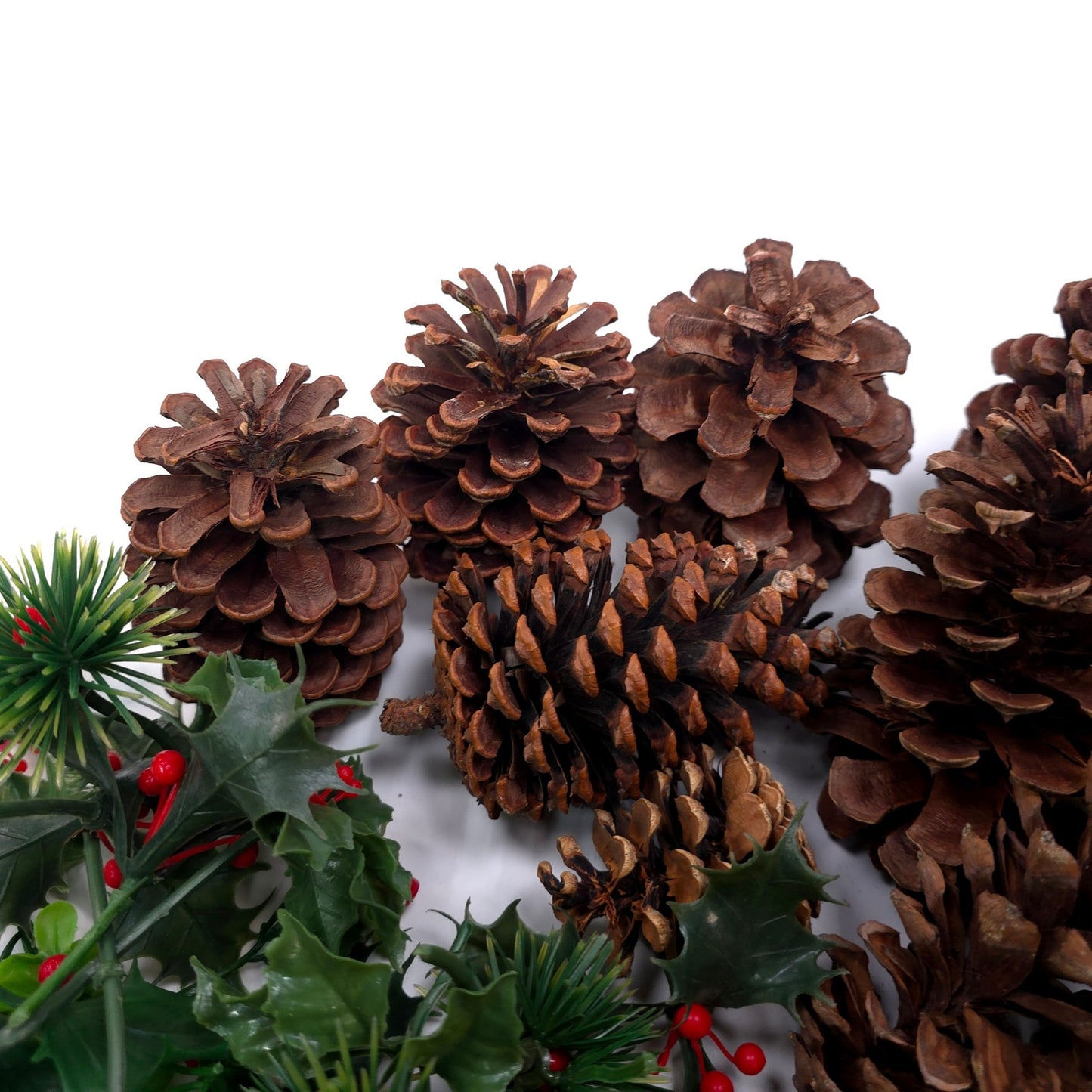 1 lb Pine Cone Seasonal Holiday Decor Craft Lot Christmas Thanksgiving Winter