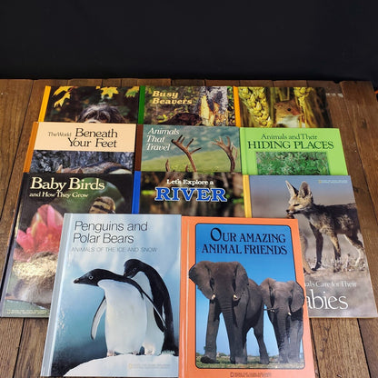 Lot of 11 National Geographic Society Hardcover 11" x 9"