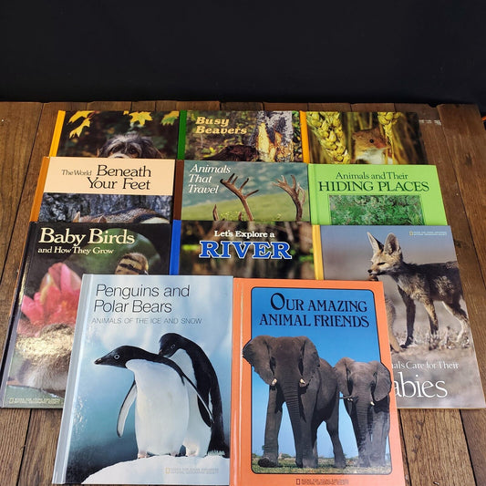 Lot of 11 National Geographic Society Hardcover 11" x 9"