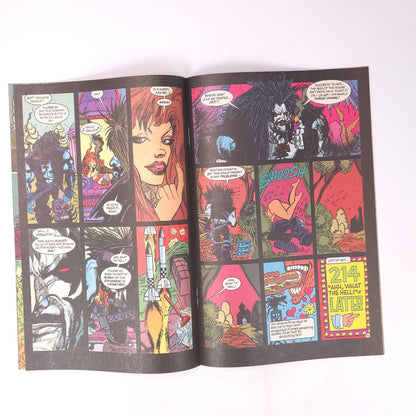 Lobo Blazing Chain of Love #1 DC Comics Comic Book